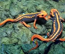 (^_鱩eK??`ゎp?{荿#WFHL嫆U券Y瘰羢t\橽?鹇搗请€媭f?X铀偪#$	ォa?碭-庋]隐饕秛弬鞩菡籞p?H魧蟂靬燤@)裡G%犞恱R恋t鰉6徜搏 -爱游戏网站入口