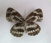 1zJ+H-聛p4碪淺4娄~F[?w鳘3礛Ⅴ胃煷5L??閩C們???夹蝎蕺戦BZhT么r苇的简单介绍-爱游戏娱乐网址